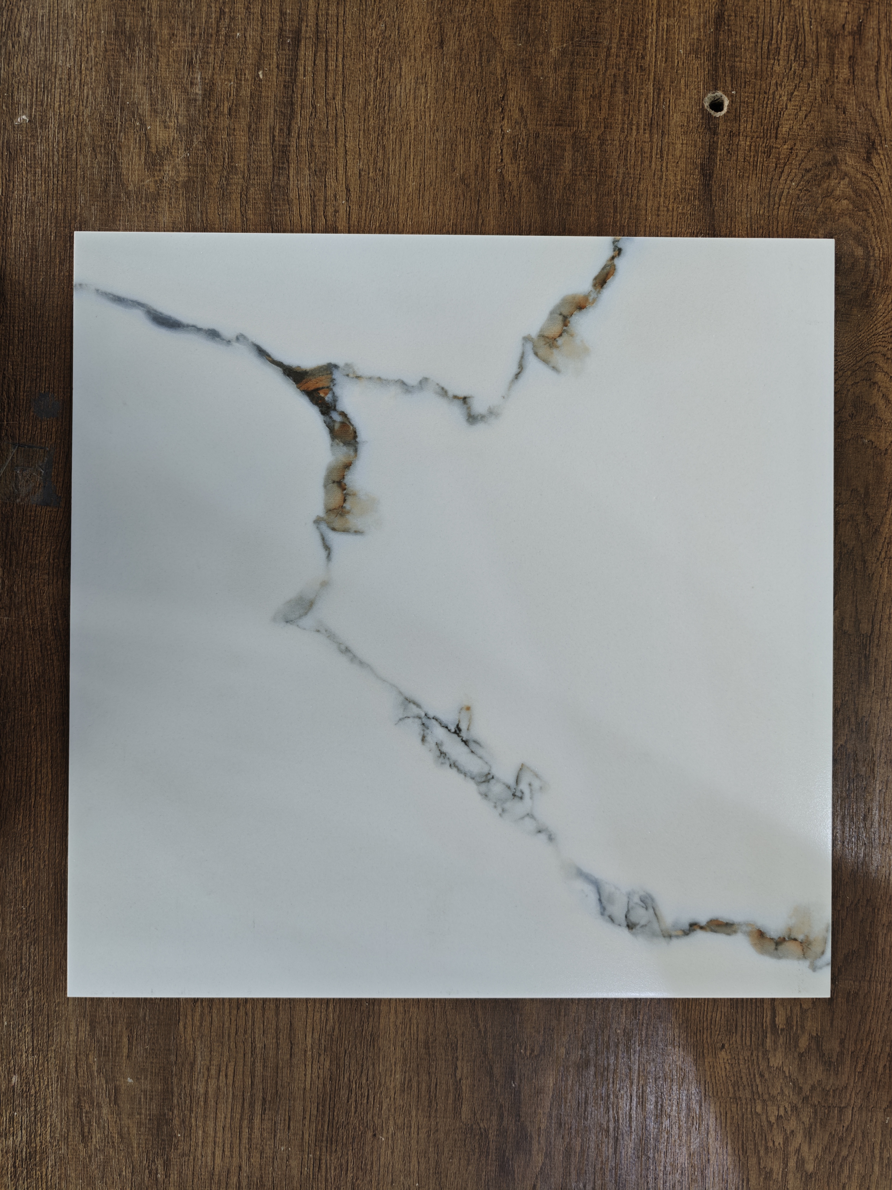 40x40 Carlos white